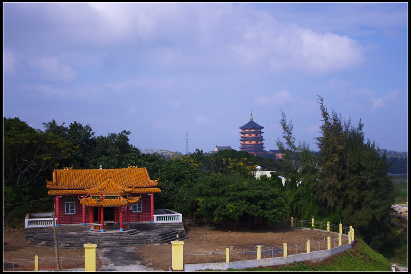 IMGP3354.jpg