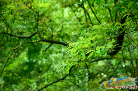XIE_2082.jpg