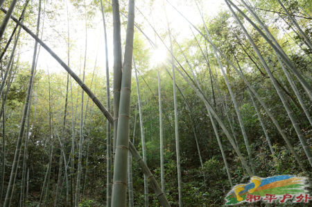XIE_2139.jpg
