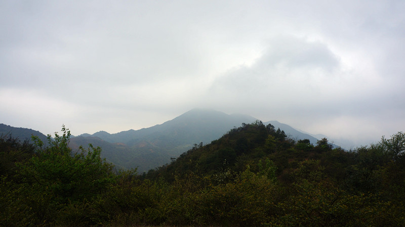 815.jpg
