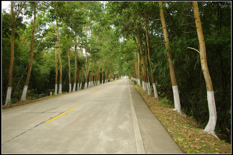 IMGP3409.jpg
