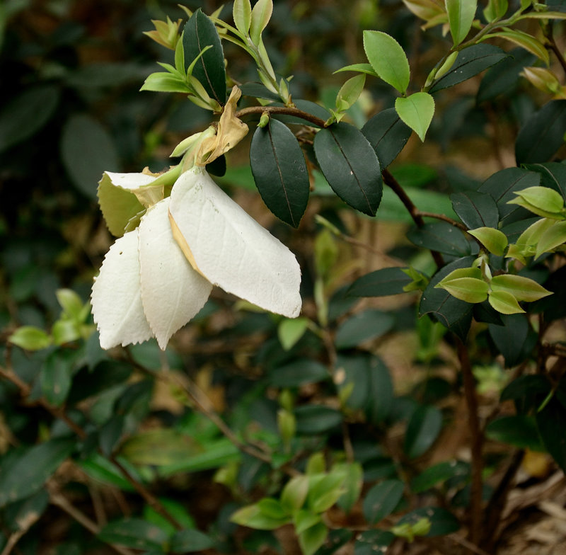 XIE_2254.jpg