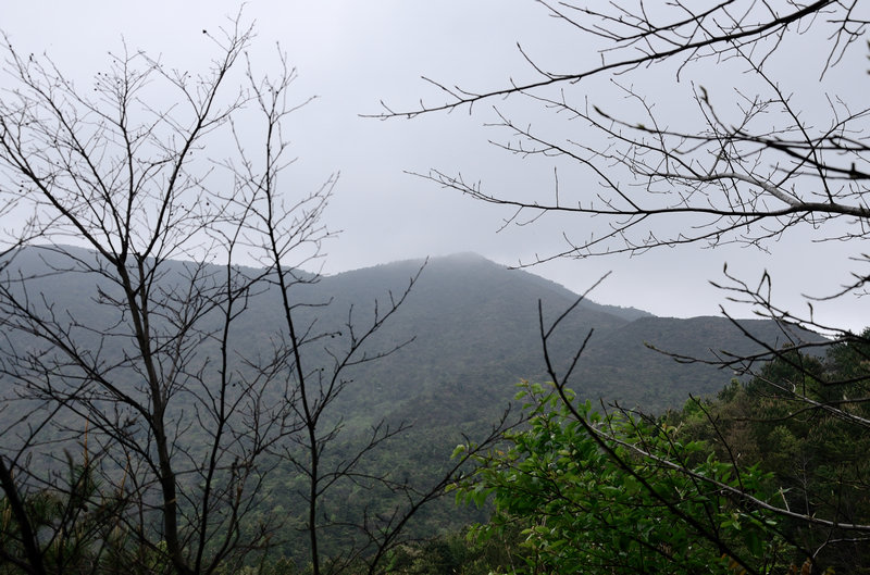XIE_2297.jpg