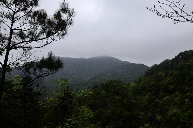 XIE_2307.jpg