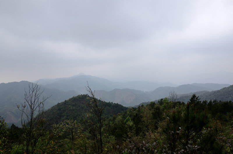 XIE_2315.jpg
