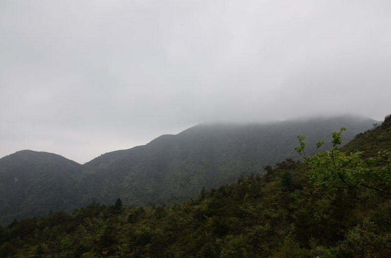 XIE_2318.jpg