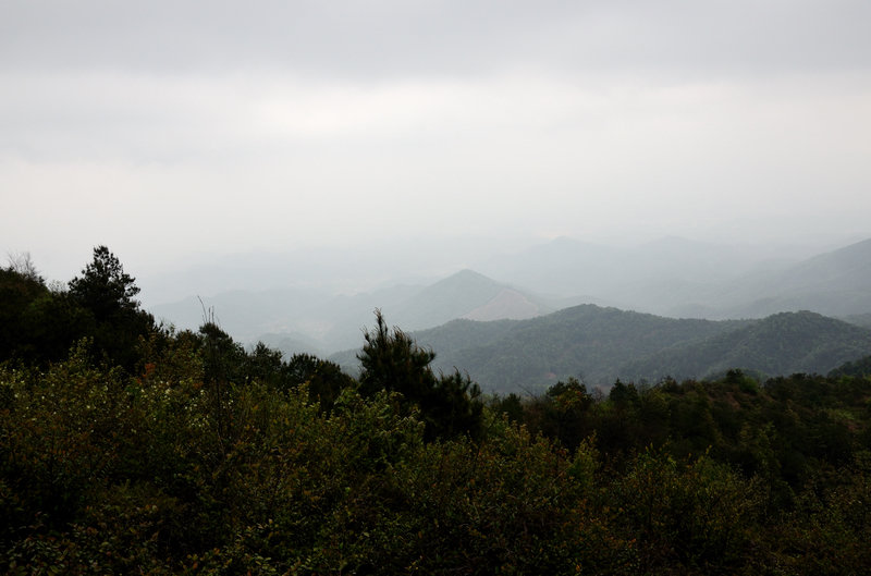 XIE_2319.jpg