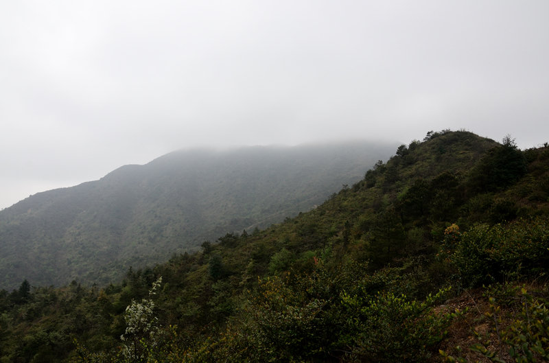 XIE_2325.jpg
