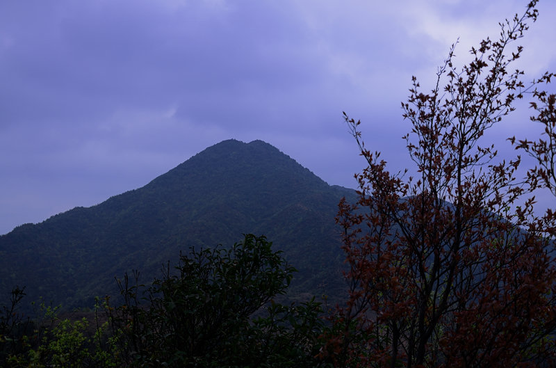 XIE_2514.jpg