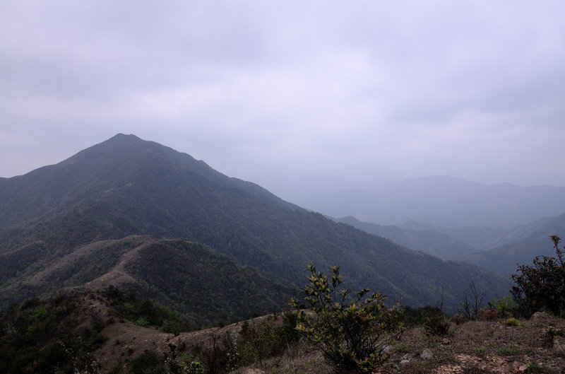 XIE_2526.jpg