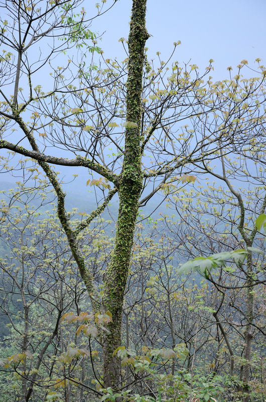 XIE_2620.jpg