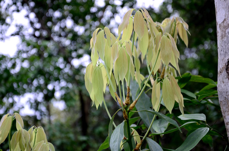 XIE_2627.jpg