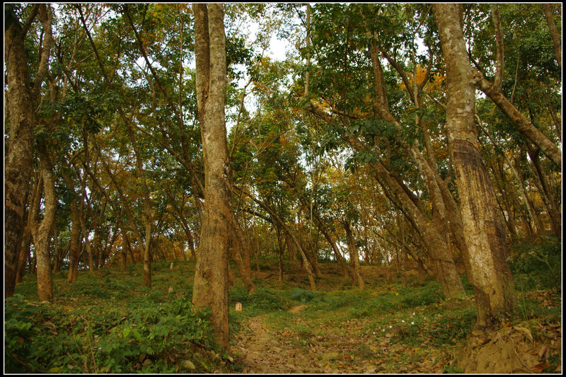 IMGP3479.jpg