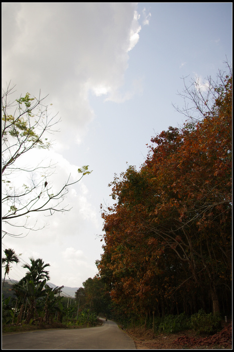 IMGP3481.jpg