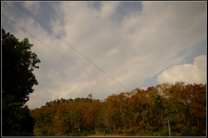 IMGP3535.jpg