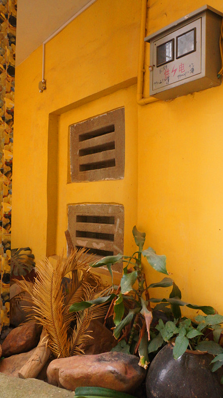DSC01669.jpg