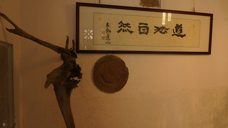 DSC01580.jpg