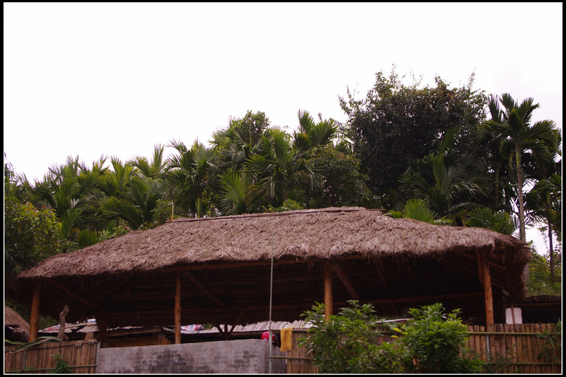 IMGP3631.jpg