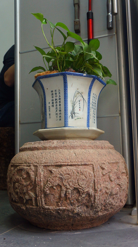 DSC01624.jpg