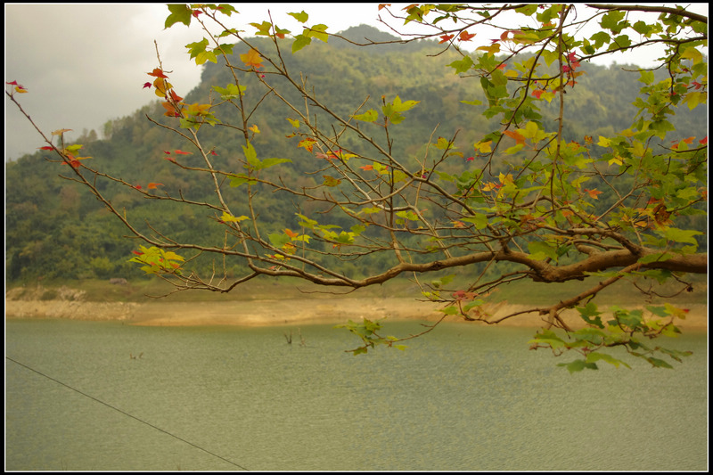 IMGP3697.jpg