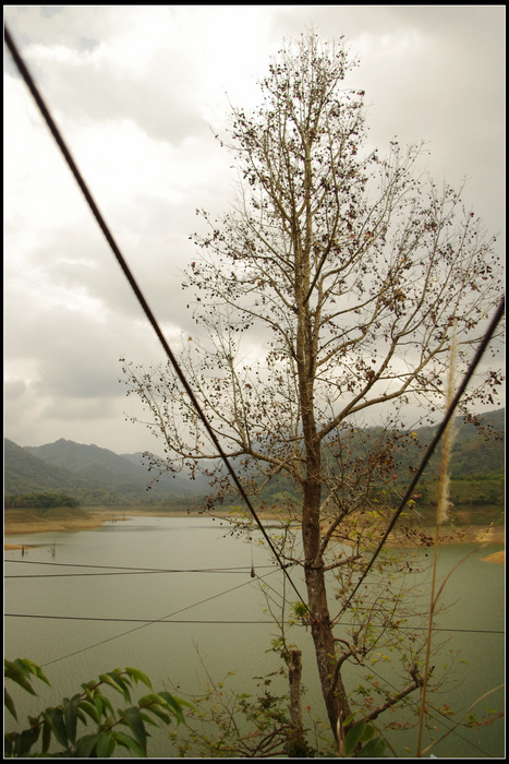 IMGP3698.jpg