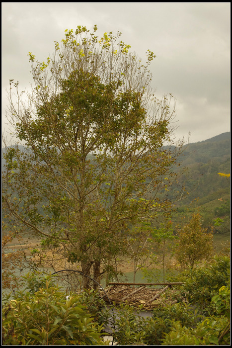 IMGP3705.jpg