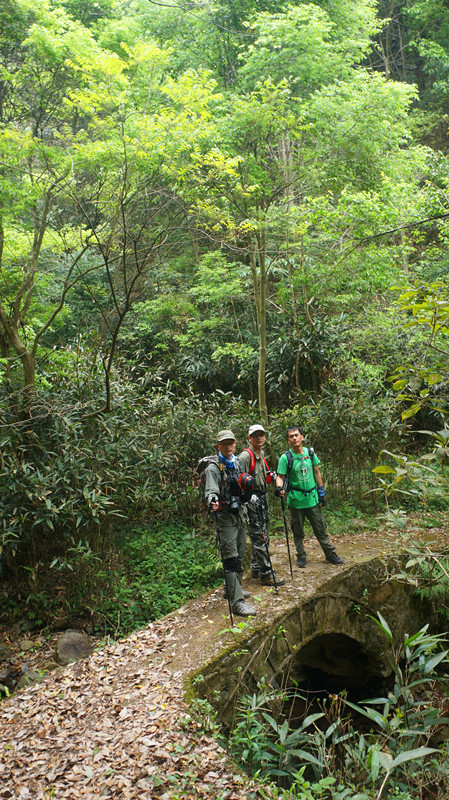 DSC00835.jpg