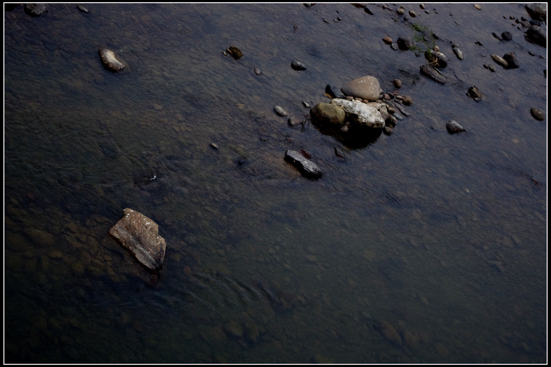 IMGP3764.jpg