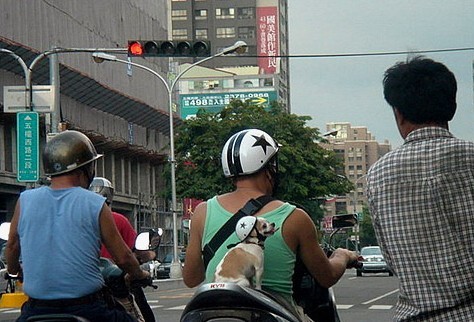 1-4.jpg