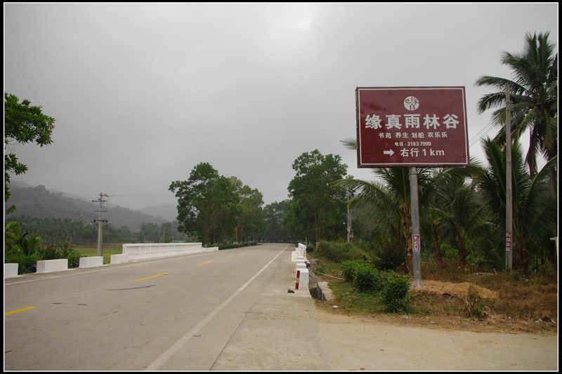 IMGP3782.jpg