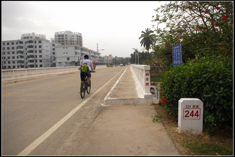 IMGP3786.jpg