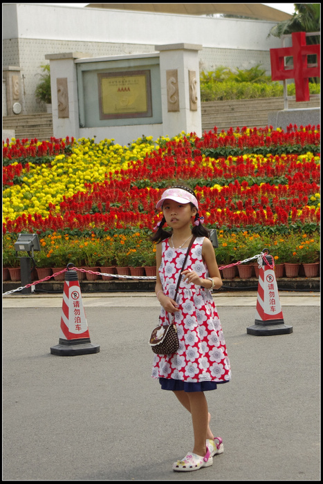 IMGP3798.jpg