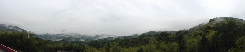 IMG_1505.jpg