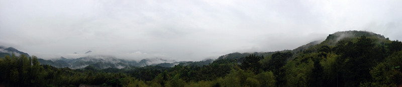 IMG_1506.jpg