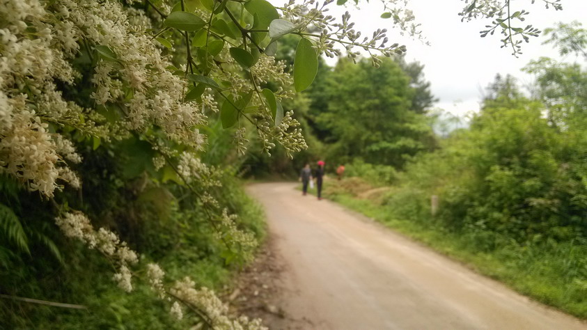 IMG_20130401_152521.JPG