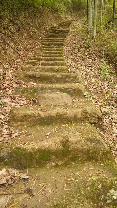 IMG_20130401_164917.JPG