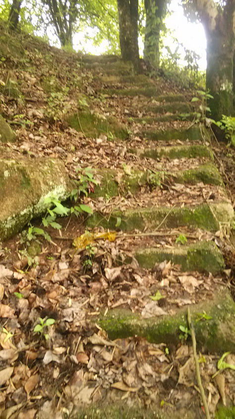 IMG_20130401_165141.JPG