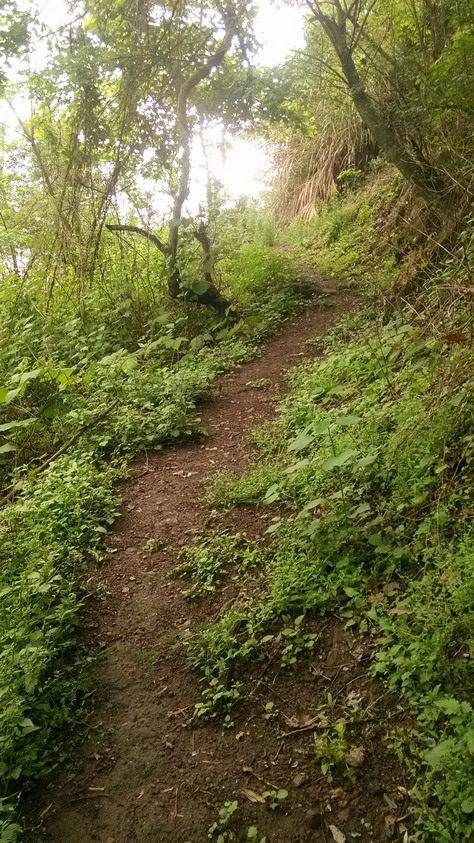 IMG_20130401_165309.JPG