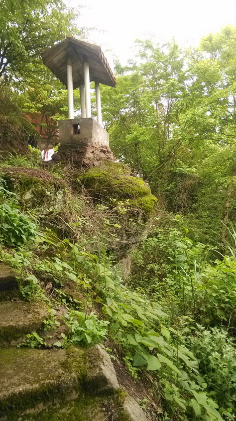 IMG_20130401_165403.JPG