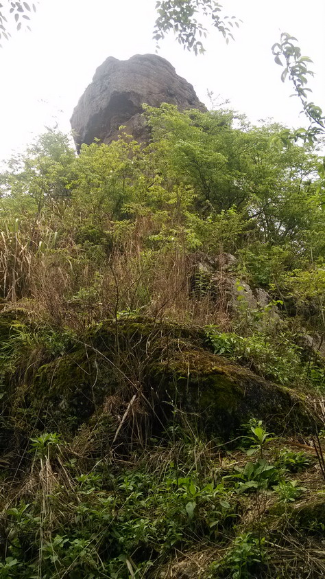 IMG_20130401_165507.JPG