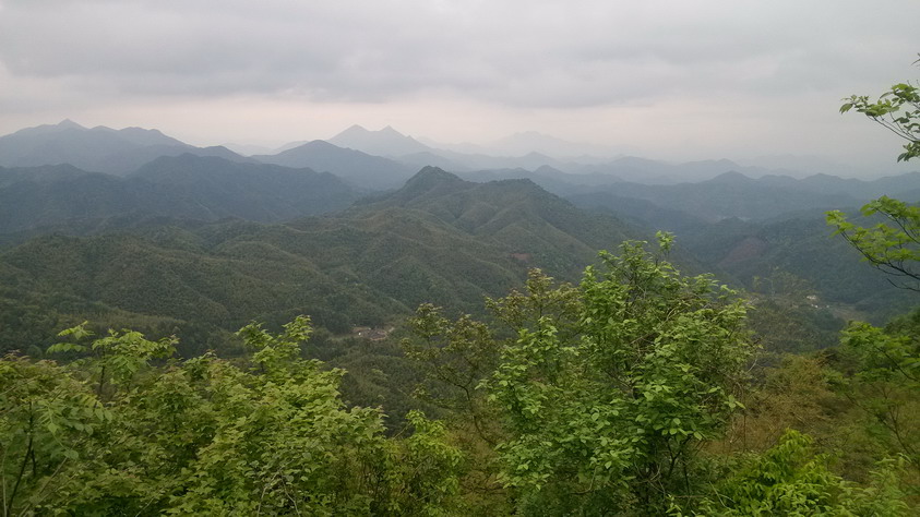 IMG_20130401_165825.JPG