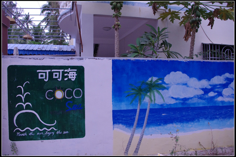 IMGP3951.jpg