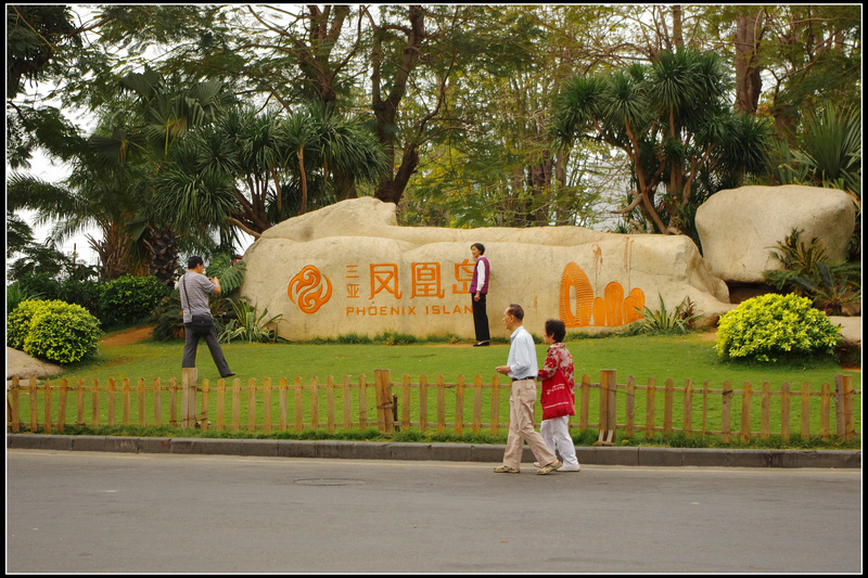 IMGP3963.jpg