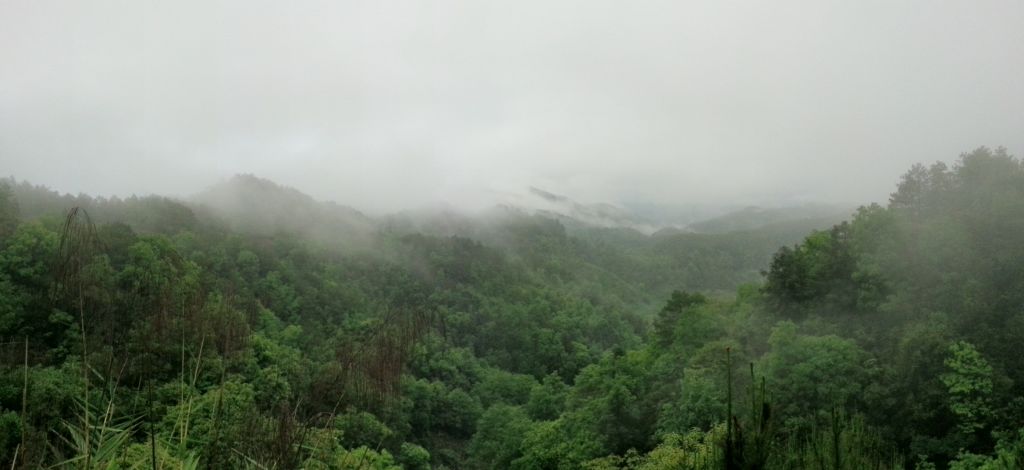 20130405_175057.jpg