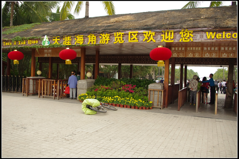 IMGP3995.jpg