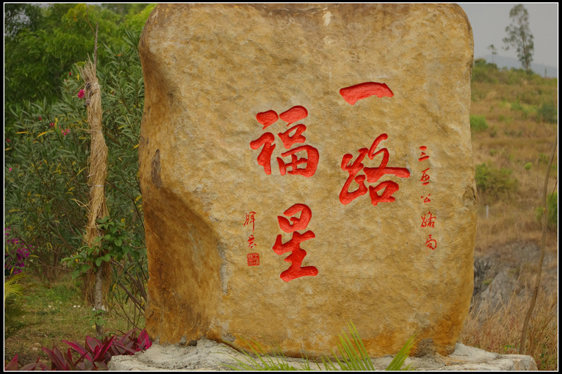 IMGP4016.jpg