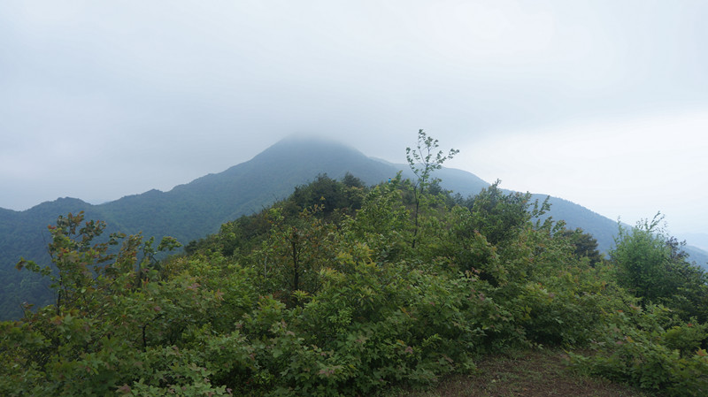 86.jpg