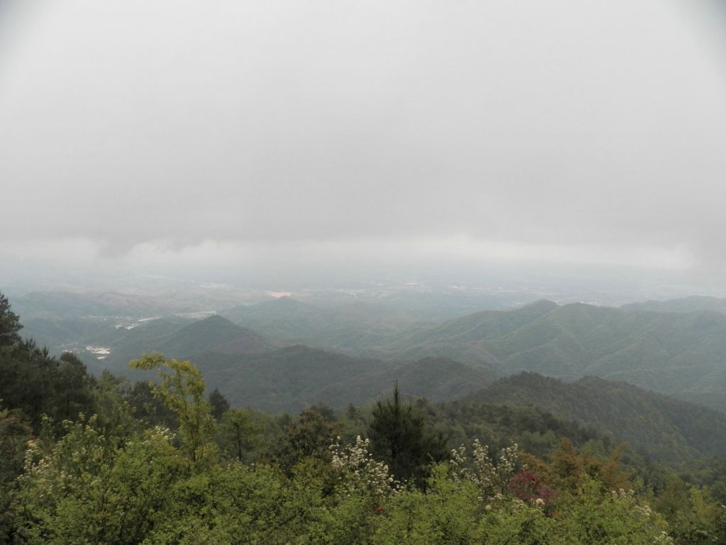 100_0415.JPG