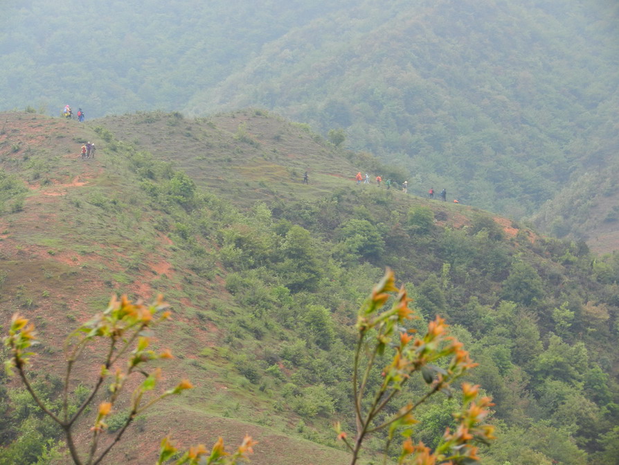 DSCN1405.JPG