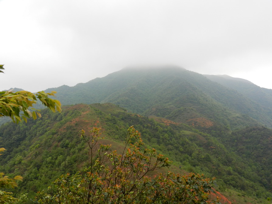 DSCN1406.JPG